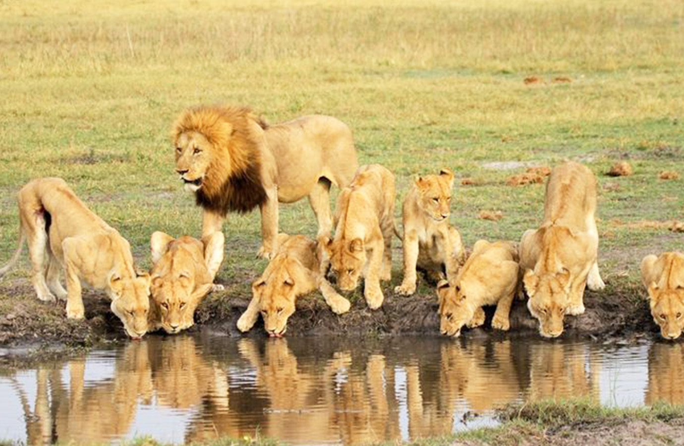 Tsavo National Park